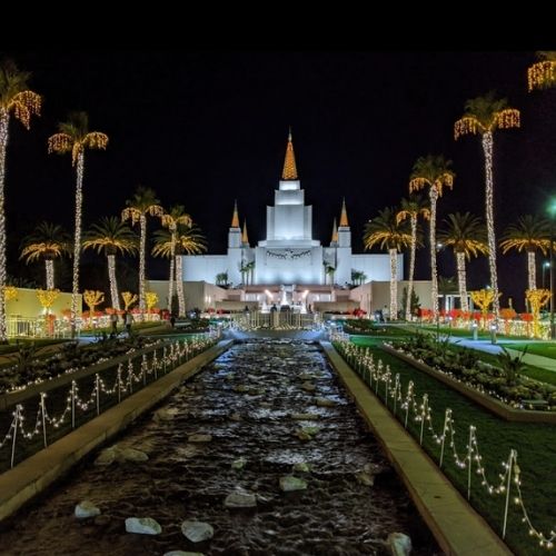 The Oakland Temple sits in the middle of the frame at night, with its nearby palm trees and bushes covered in Christmas lights.