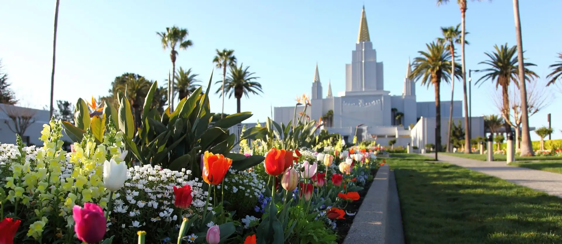 Spring Flowers at Temple Hill